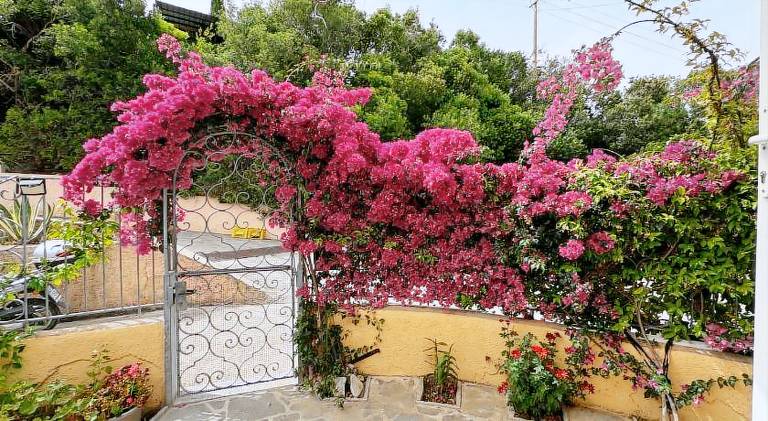 Apartment with 1 room for 4 persons in Capoliveri