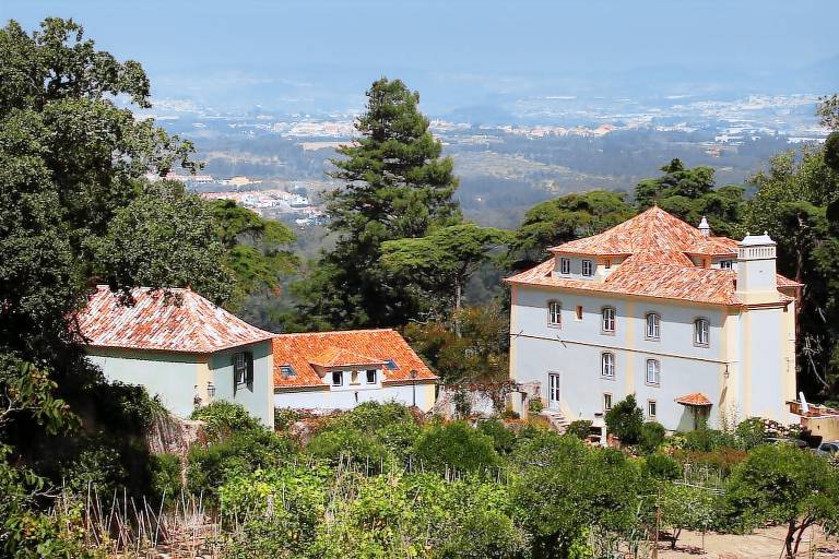 Bauernhof Sintra