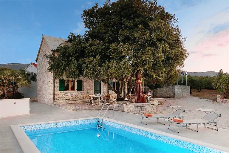 Secluded Villa Dubrava, private pool, olive grove surrounds the villa, Brac Island — photo 5