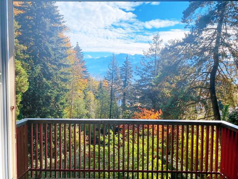 Ferienwohnung  Weggis