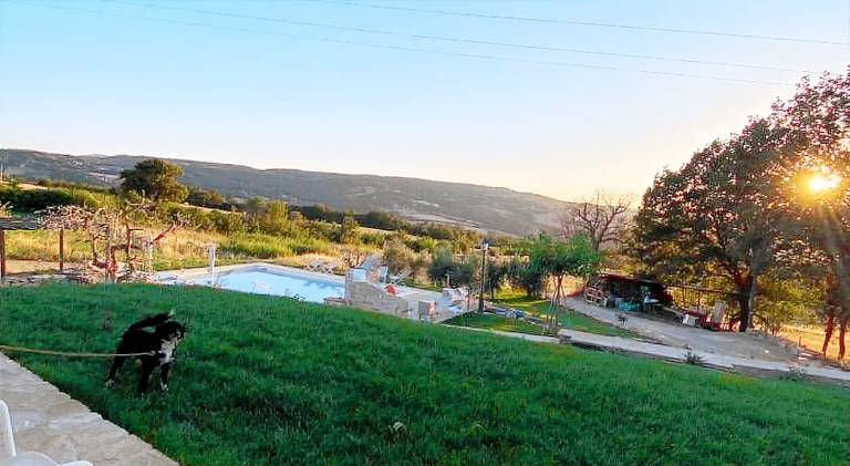 Farm with pool, patio & yard — photo 5