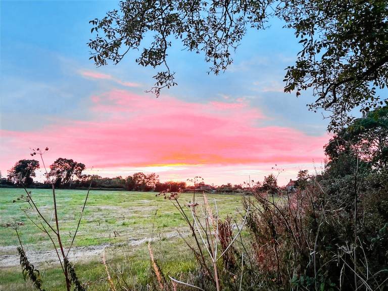 Cottage Shapwick