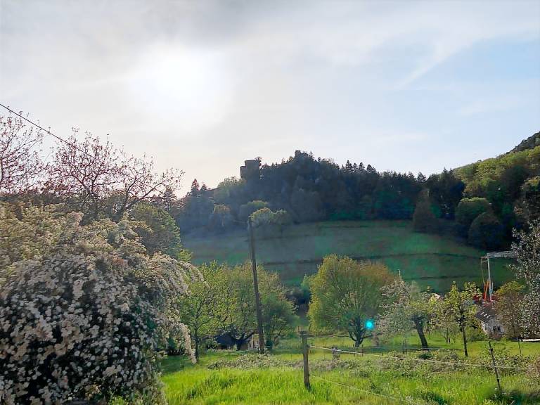 Children-friendly vacation home with terrace & BBQ | Nature view | Dogs allowed — photo 4