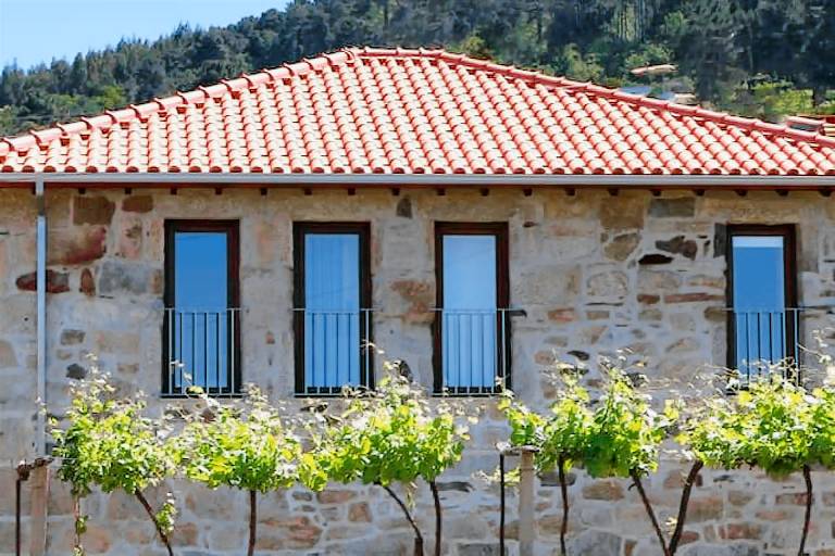 Casa Arbo