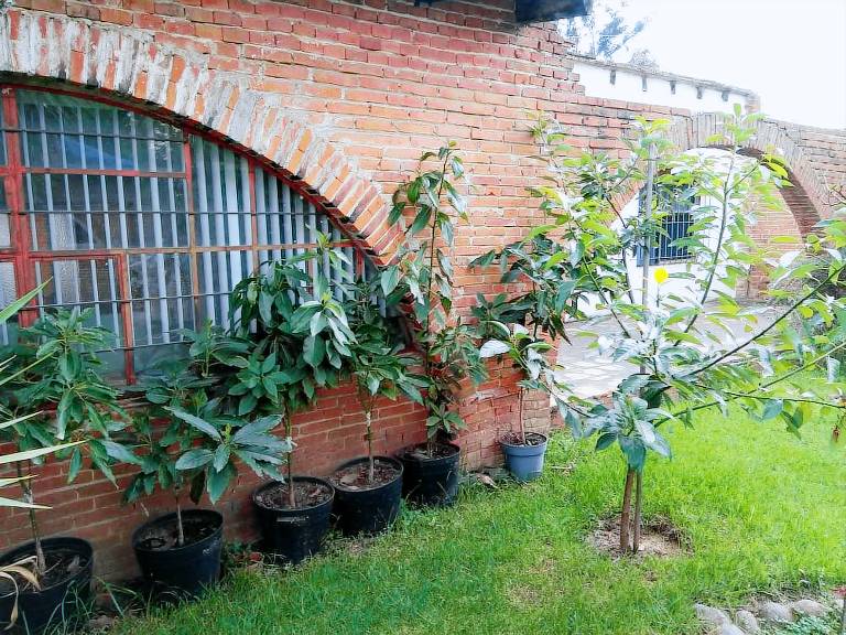 Casa San Salvador el Verde