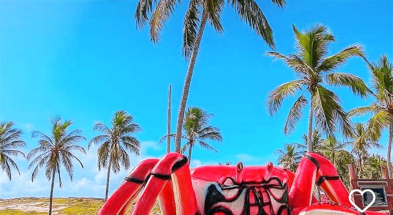 Nice holiday apartment | Pets are welcome in Aracaju