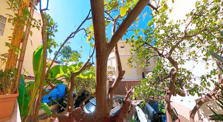 Apartment with terrace in Reggio Calabria