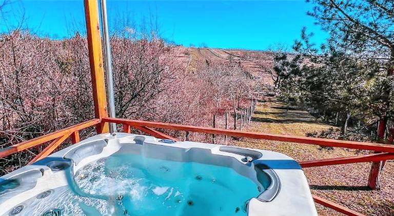 Vacation home with jacuzzi, terrace & yard — photo 4