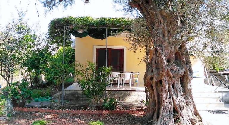 Charming vacation home with patio & garden | Suitable for remote work | Pet-friendly — photo 4