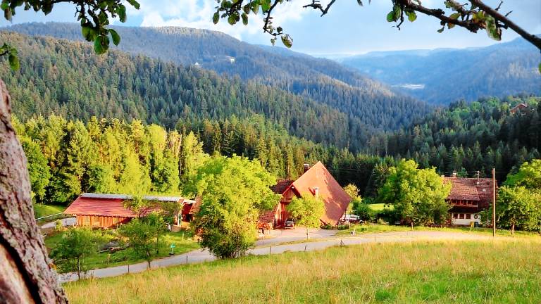 Ferienwohnung Schiltach