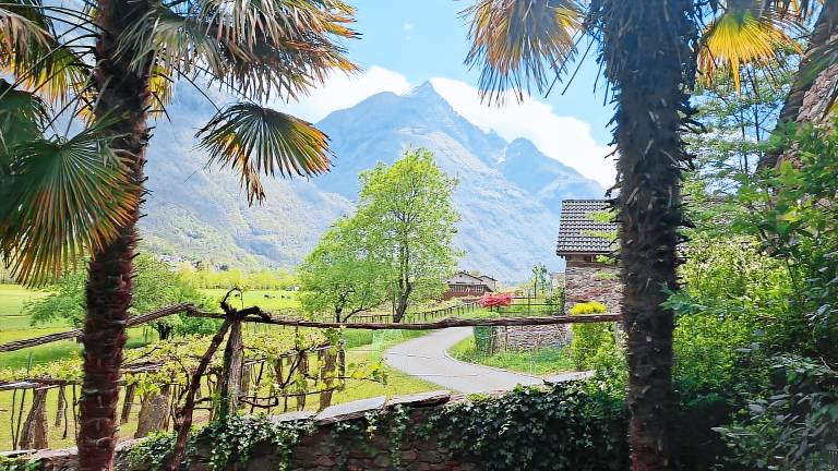 Ferienwohnung mit Hund in Semione,  f&uuml;r max. 4 Personen