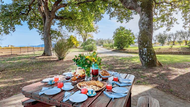 Fully equipped lovely villa with garden, BBQ & private pool | Garden view | Suitable for remote work | Pets allowed — photo 2