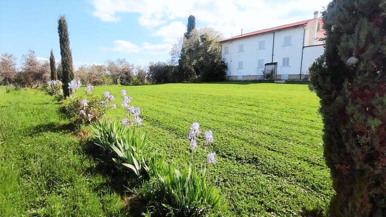 Borgo Iris: GIRASOLE — photo 2