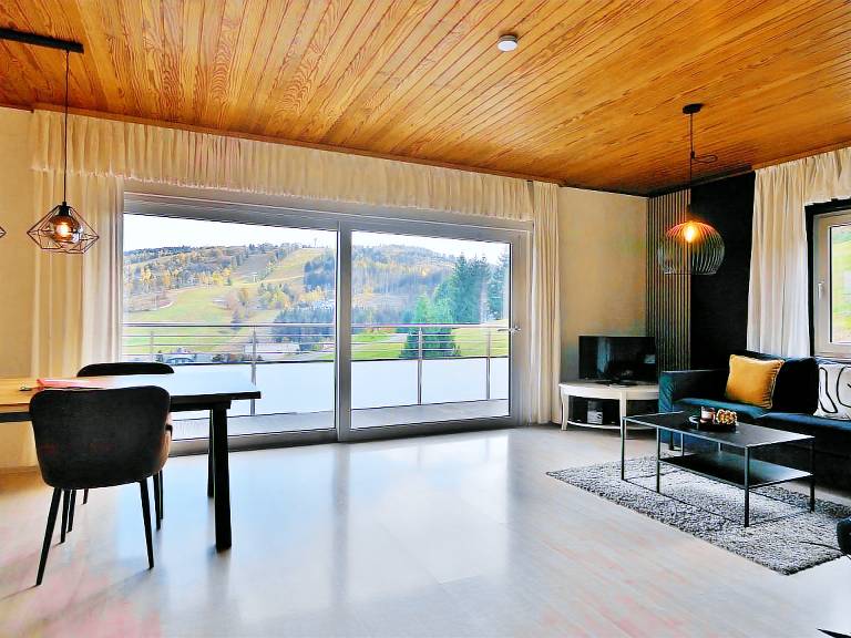 Apartment with patio | Mountain view in Willingen