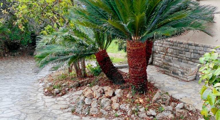 Rental apartment with 2 rooms for 6 persons in Ameglia