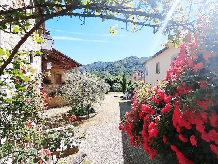 Casa San Godenzo