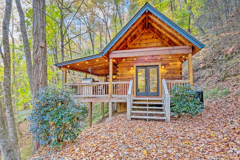 House Blue Ridge
