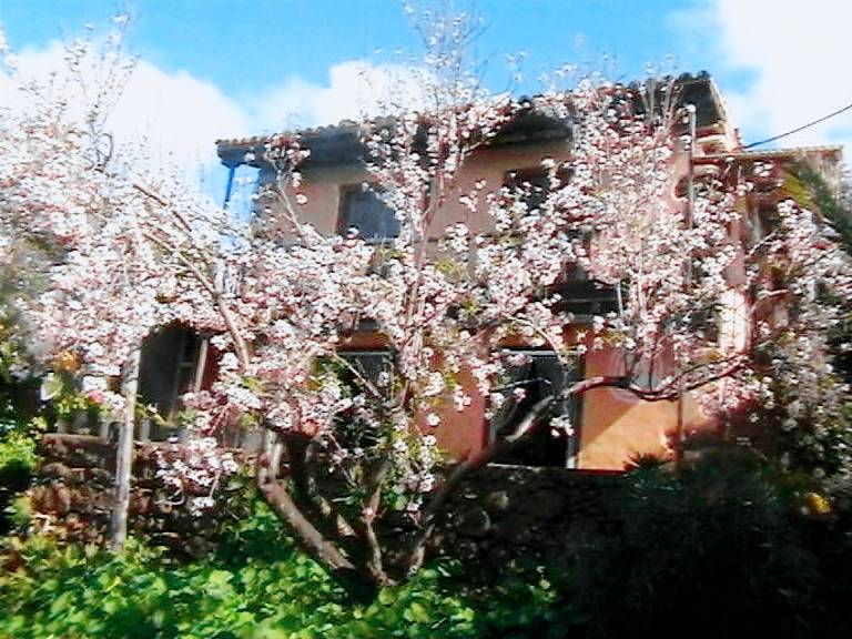 Ferienhaus mit Hund in Cueva del Agua, La Palma f&uuml;r max. 2 Personen