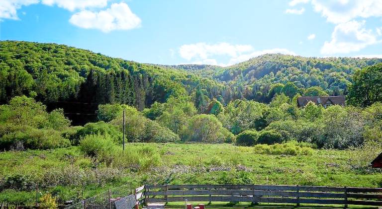 Bed & Breakfast Wetlina