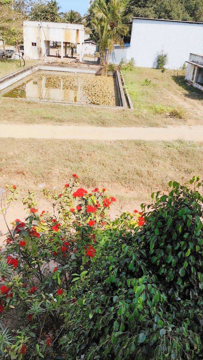 foto20