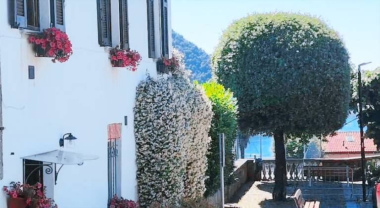 Vacation home with 1 room for 3 persons — photo 5