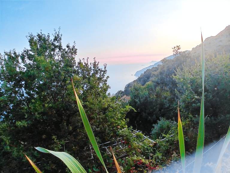 House Amalfi