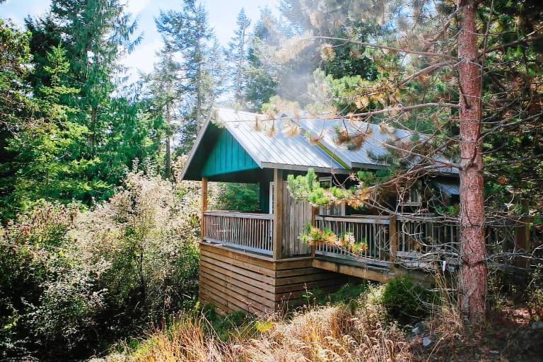 Cabin Olga