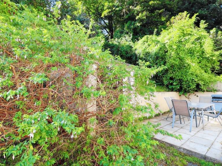 Cottage Combe Martin