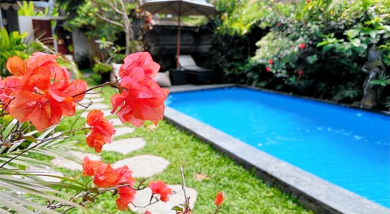 Holiday apartment with pool — photo 5