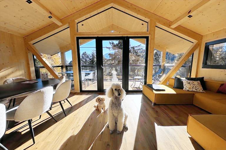 Ferienhaus mit Hund in Stadl an der Mur, Turracher Höhe f&uuml;r max. 8 Personen