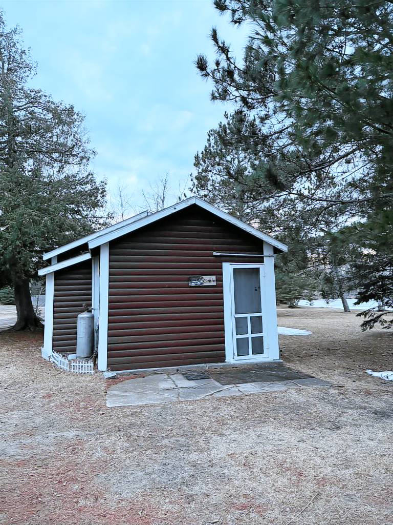 Cabin Bemidji