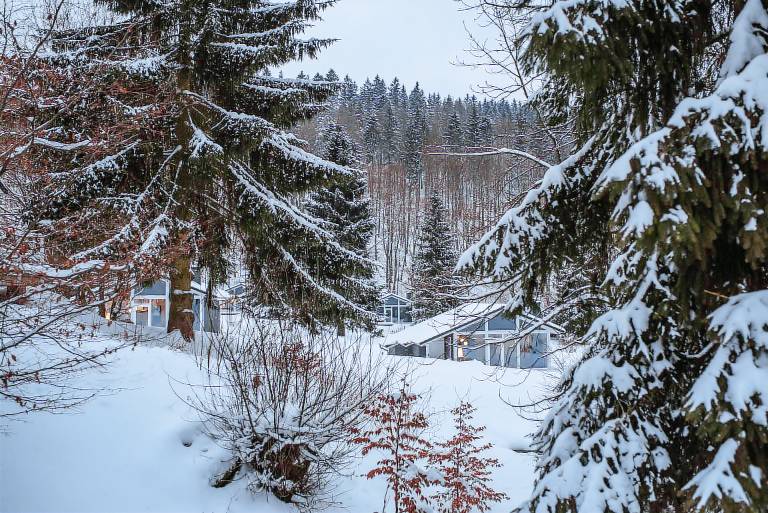 4 Personen mit Sauna F2H2