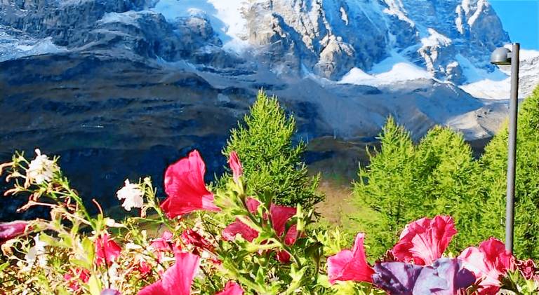 Rental apartment for 5 persons in Valtournenche
