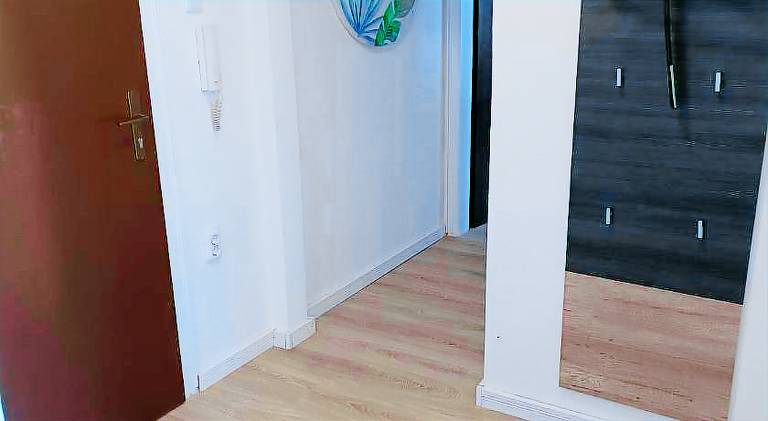 Apartment | Pets are welcome — photo 4