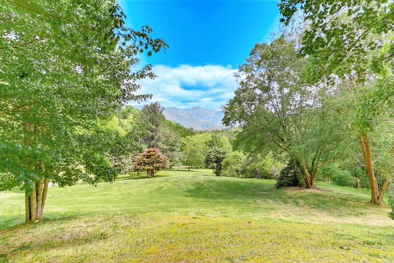 Pet-Friendly Waynesville Cabin w/ Deck & Mtn Views — photo 3