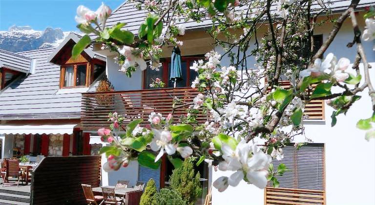 Apartma Bovec