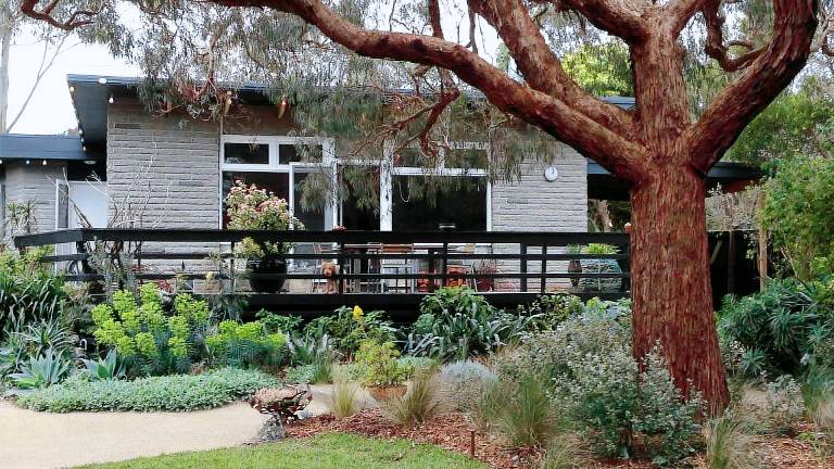 House  Balnarring Beach