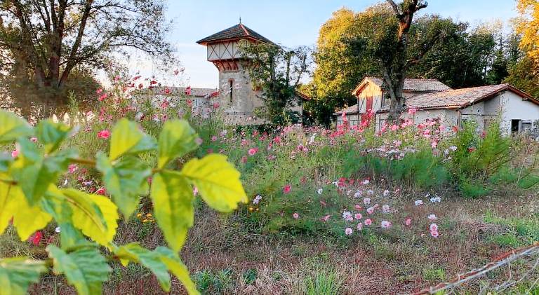 House with 4 rooms for 9 persons in Marmande