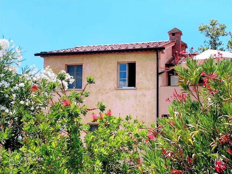 Rental apartment with patio, garden & pool | Nature view — photo 2