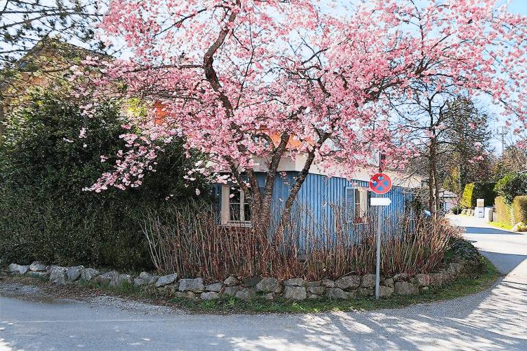 Ferienwohnung Iffeldorf