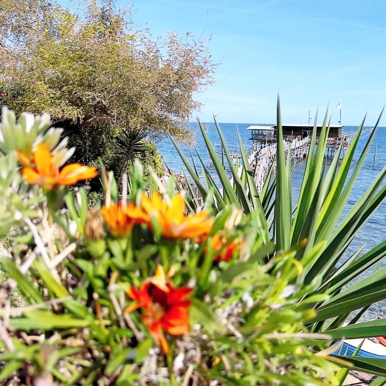 COSTA DEI TRABOCCHI PET FRIENDLY