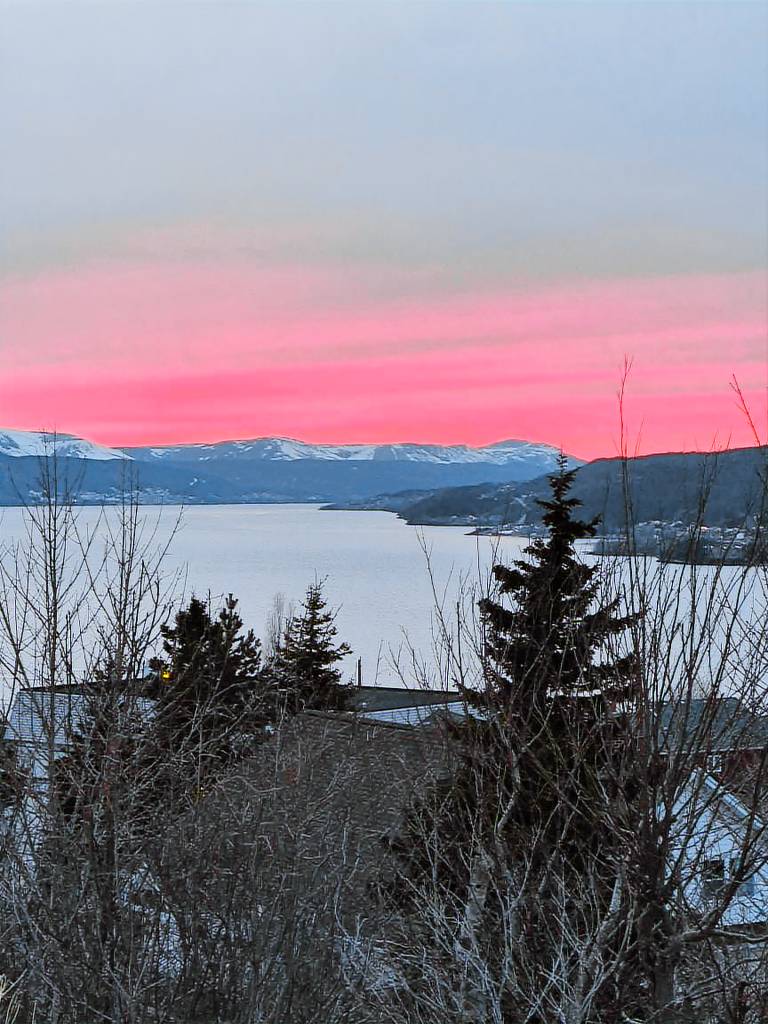 House Corner Brook