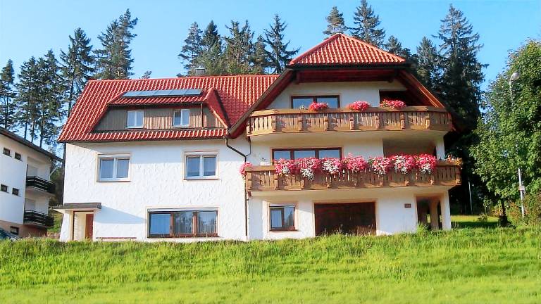 foto1