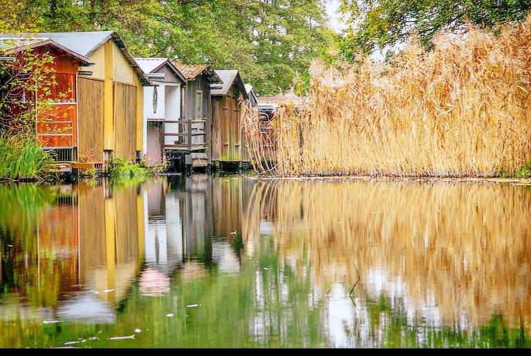 Kugelhaus Tamika – Sauna, Whirlpoolwanne, Kamin & Terrasse am Tollensesee — photo 4
