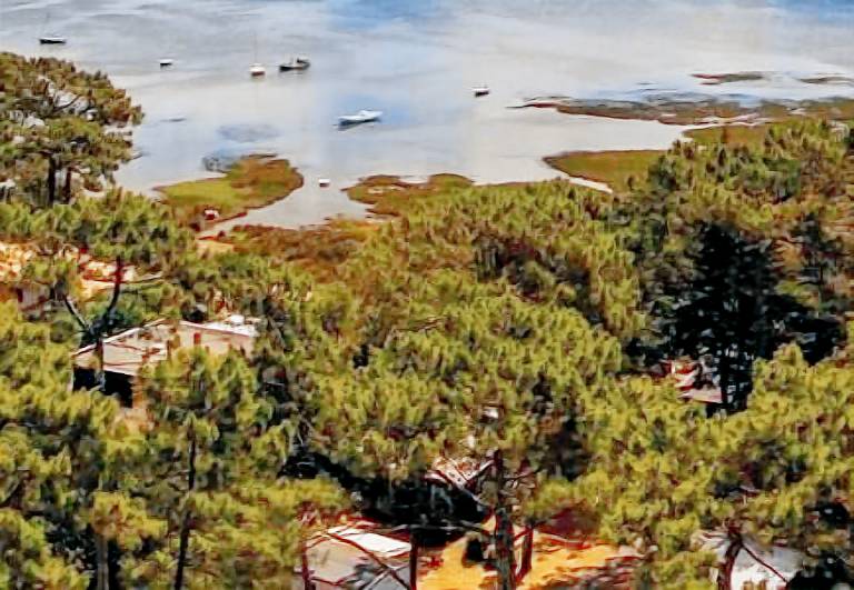 Mobil-home Lège-Cap-Ferret