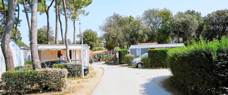 Children-friendly pleasant camping suite with garden, heated pool & patio | Close to the beach | Pet-friendly — photo 5