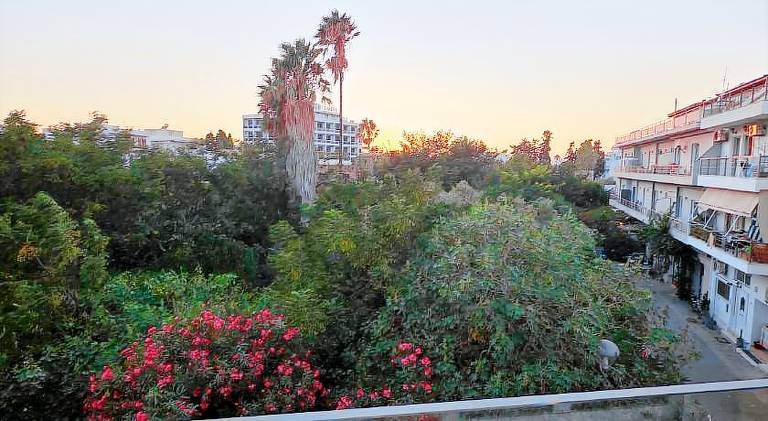 Holiday apartment with terrace | Pets are welcome — photo 5