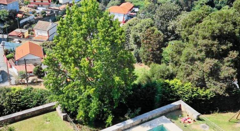 Rental apartment with private pool, garden & patio | Good for workation in Vigo