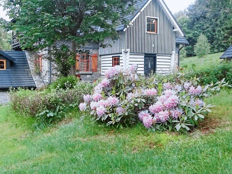 Fully equipped nice house with barbecue, private pool & yard | Nature view | Pet-friendly — photo 4