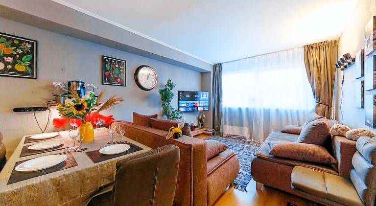 Wonderful rental apartment | Pets are welcome in Riga